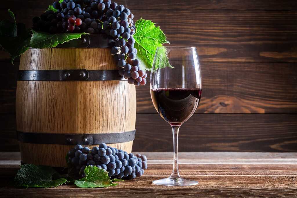 Ascensão dos Vinhos Paulistas é destaque do 6° Encontro Enoconexão