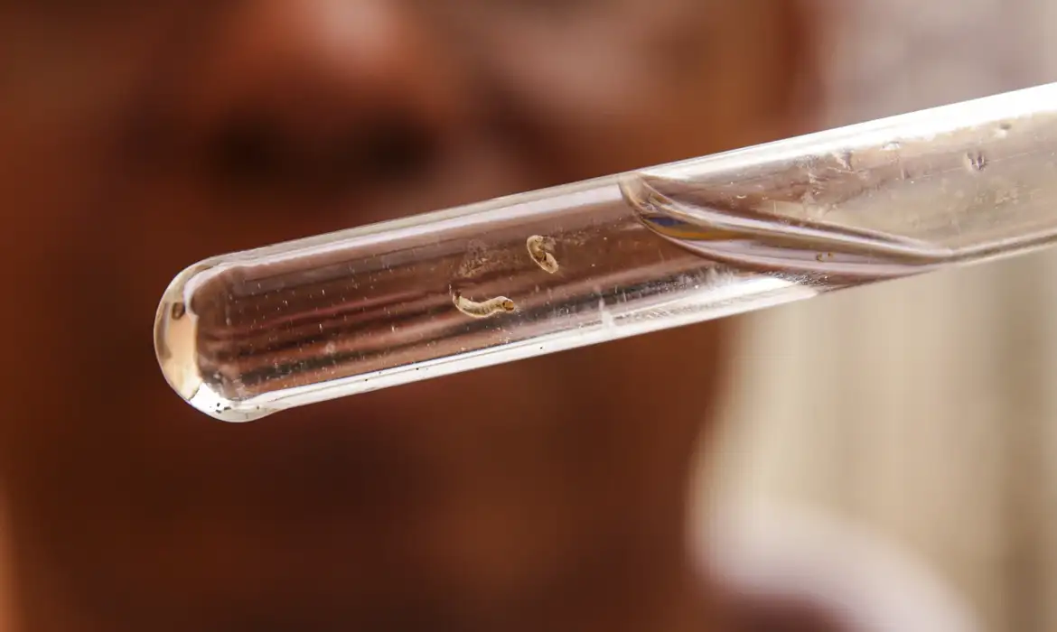 Brasil já tem mais de 1 milhão de casos de dengue apenas este ano; veja a situação em Louveira