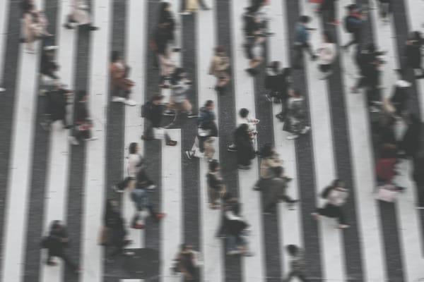 Comemoração e Reflexão no Dia Internacional do Pedestre