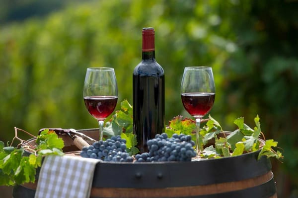 Louveira é destaque do turismo enológico de SP no projeto ‘Rotas do Vinho’
