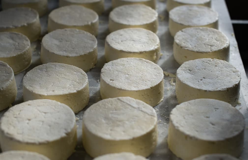 Louveira tem curso gratuito de processamento caseiro de leite