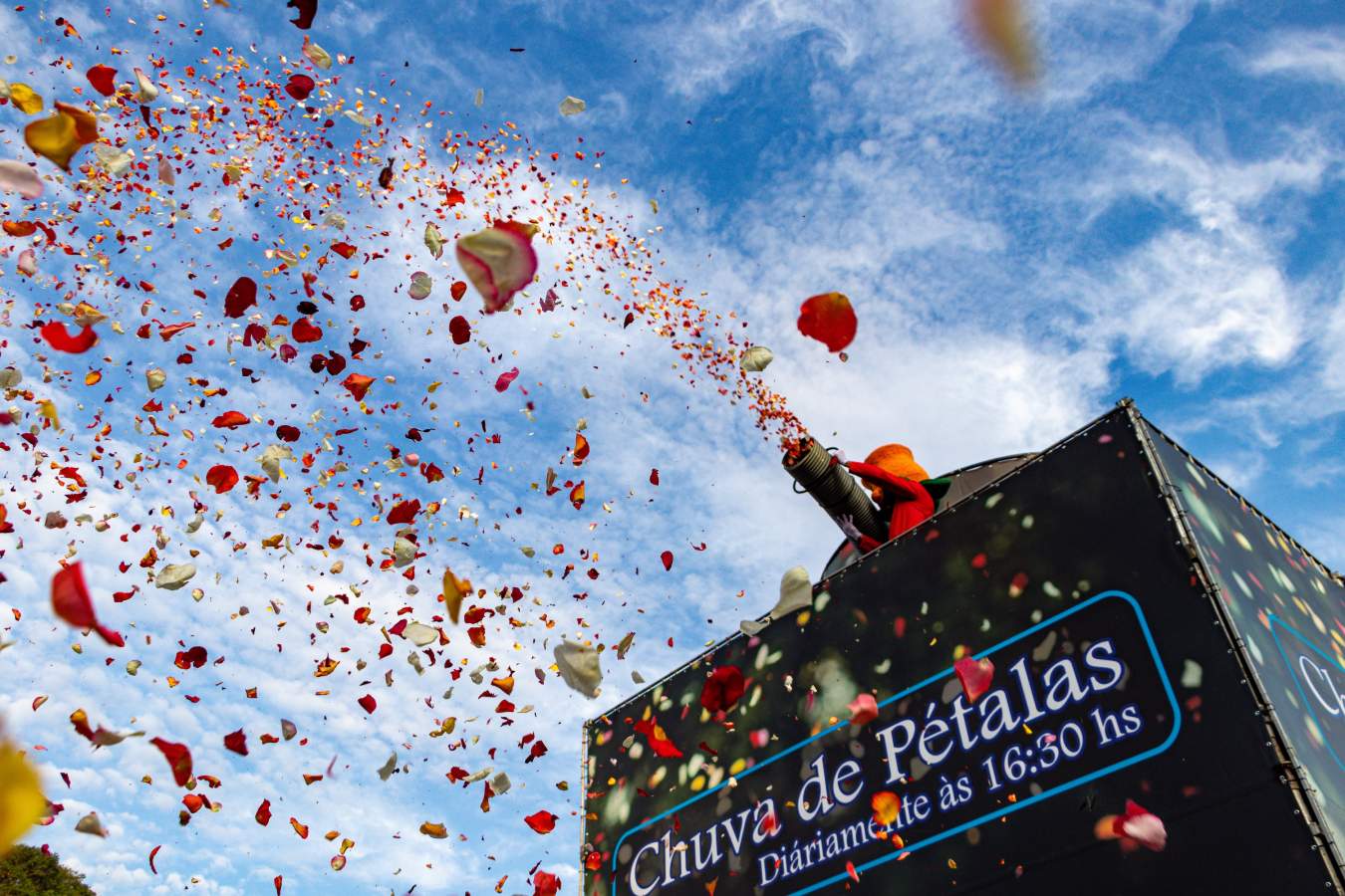 Expoflora 2025: Holambra vive a temporada mais florida e vibrante do ano em sua 42ª edição