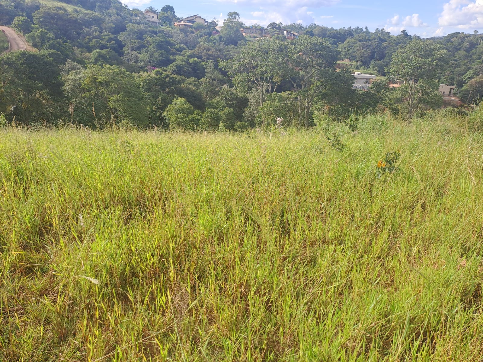 Chácara à Venda em Louveira: 5.000 m² por R$ 70/m² — Uma Oportunidade Rara no Interior de SP