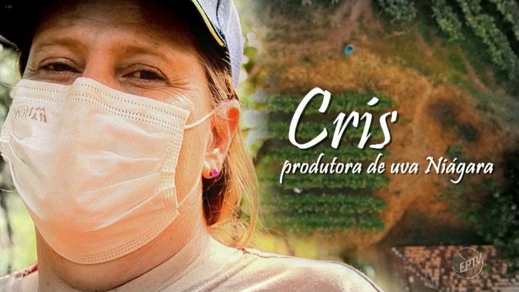 Produtora de Uva de Louveira é destaque em Jornal da EPTV